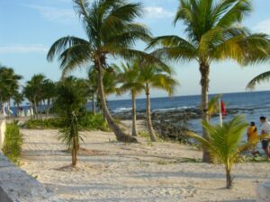 SAMSUNG DIGITAL CAMERA