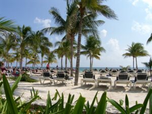 SAMSUNG DIGITAL CAMERA