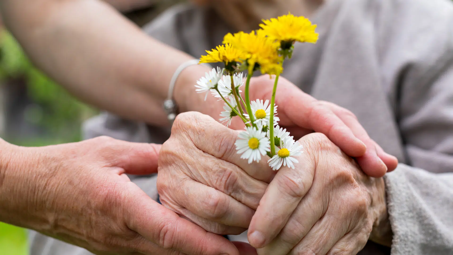 IDEL et soins palliatifs : quel rôle à domicile ?