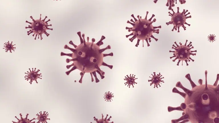 Rentrée et épidémies saisonnières : comment s’y préparer ?