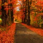 Les défis de l’exercice libéral en zone rurale : comment les IDEL surmontent ces obstacles ?