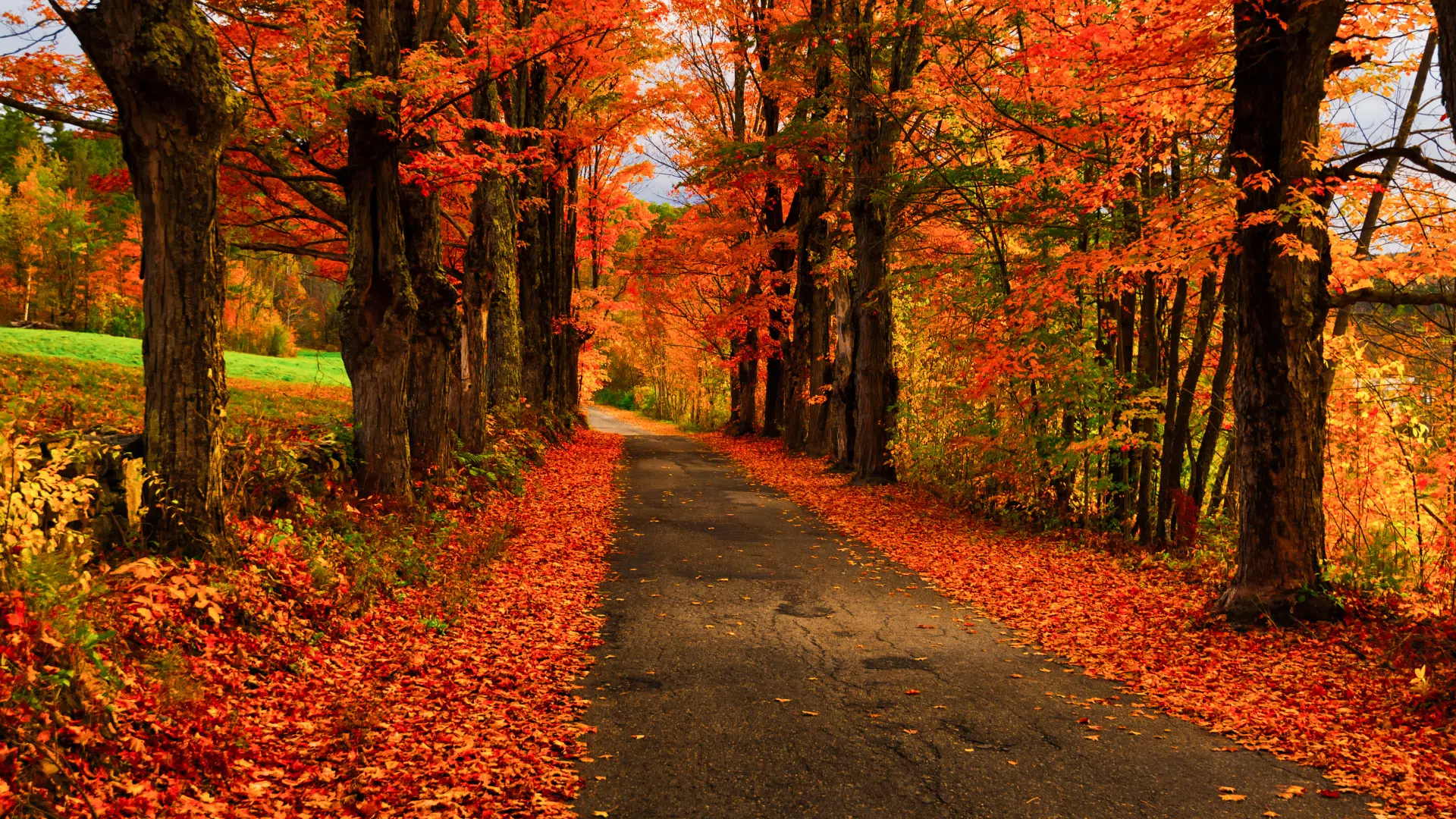 Les défis de l’exercice libéral en zone rurale : comment les IDEL surmontent ces obstacles ? Les défis de l’exercice libéral en zone rurale : comment les IDEL surmontent ces obstacles ?